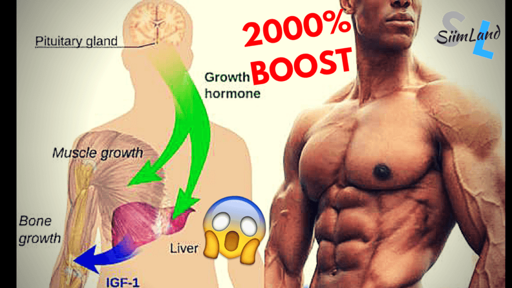 No. 9th International Congress of the Growth Hormone Research & IGF Societies
