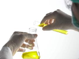 Scientific Research Is A Choice Of Life