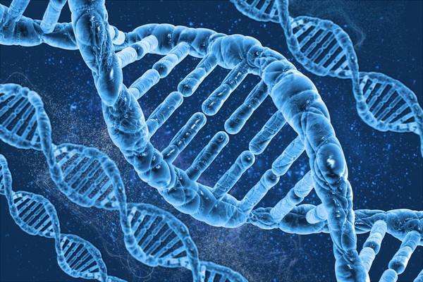 If you want to survive,you must conduct evidence-based medical research within the prescribed time to prove that the product is it